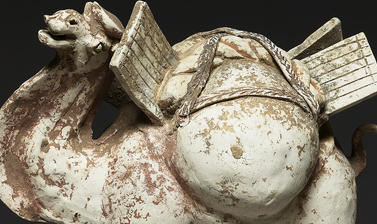 Figure of a camel (detail), China, Tang Dynasty, AD 618-907