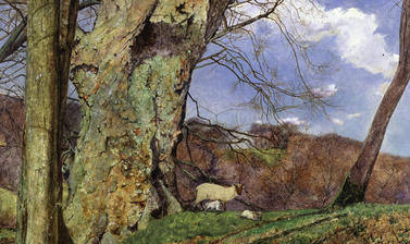  PRE-RAPHAELITES at the Ashmolean Museum