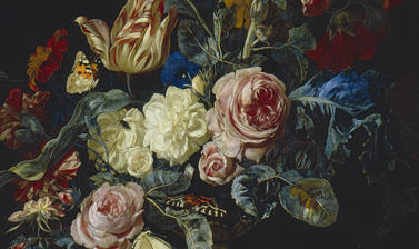  STILL-LIFE PAINTINGS at the Ashmolean