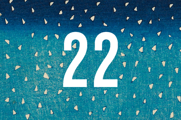 Advent Calendar Closed Door 22